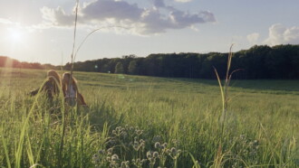 A Sweetness of Lapse Trailer