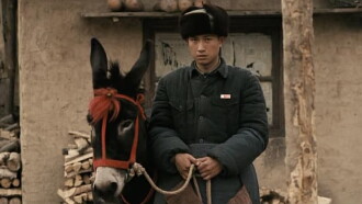 A Tale of Two Donkeys Trailer