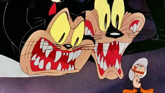 A Tale of Two Kitties Trailer