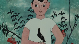 A Talking Myna Bird Trailer