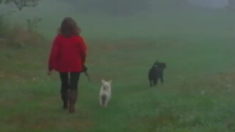 A Video Visit with Lynne Cherry Trailer