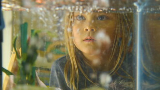 A View from the Window Trailer