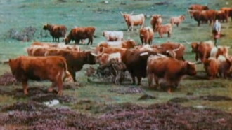 A Wee Bit of Scotland Trailer