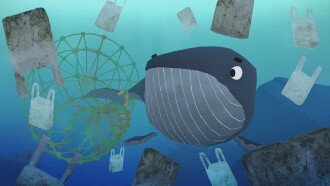 A Whale's Tale Trailer