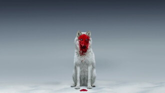 A Winter Fable Trailer