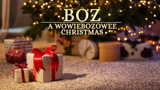 A WowieBozowee Christmas Trailer