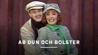 AB Dun & Bolster Trailer