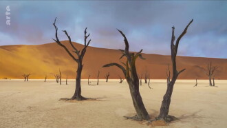Abenteuer Namibia Trailer