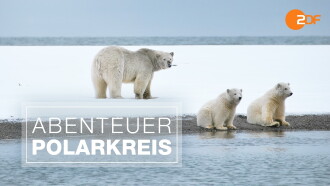 Abenteuer Polarkreis Trailer