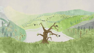 About a Tree Trailer