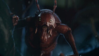 About Bugs and Heroes Trailer