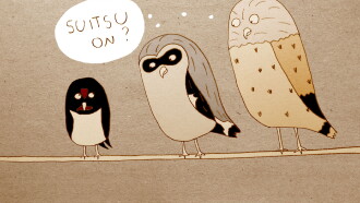 About the Hard Life of the Barn Swallow Trailer