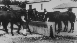 Abreuvoir Trailer