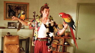 Ace Ventura: Pet Detective Trailer