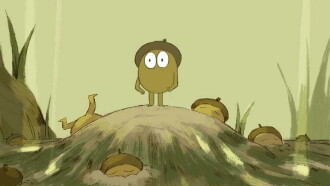Acorn Trailer