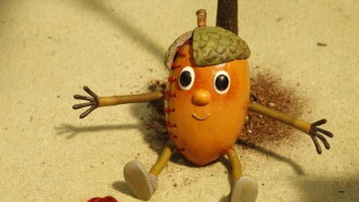Acorn Boy Trailer