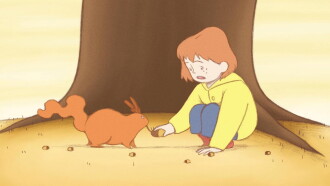 Acorns Trailer