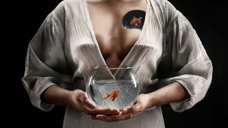 Ad Libitum Trailer