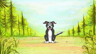 Adult Swim ID ‘Mr. Pickles’ Trailer
