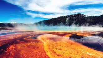 Adventure Yellowstone Trailer