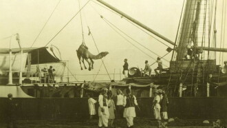 Afghan Cameleer in Australian from 1860-1920 Trailer