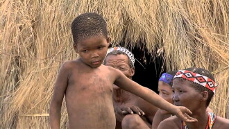 Africa, Blood & Beauty Trailer