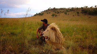 African Safari Trailer
