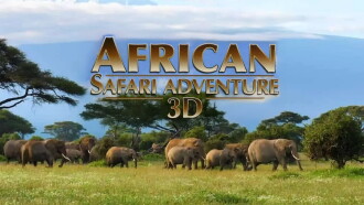 African Safari Adventure Trailer