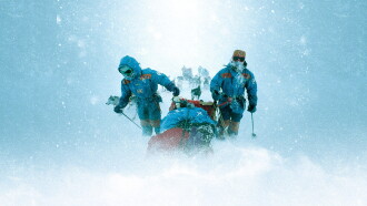 After Antarctica Trailer