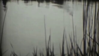 After the Flood Trailer