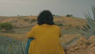Agave Echoes Trailer