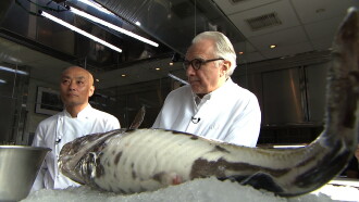 Alain Ducasse, Japanese Cuisine Par Excellence Trailer