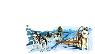Alaskan Sled Dog Trailer