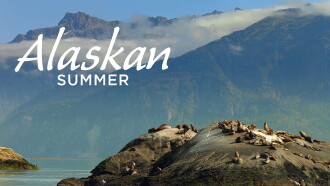 Alaskan Summer Trailer