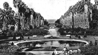 Alger Et Ses Environs Trailer