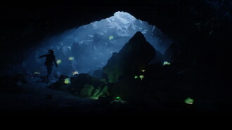 Alien Country Trailer