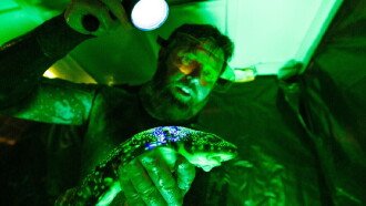 Alien Sharks: Strange New Worlds Trailer