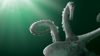 Aliens of the Deep Sea Trailer