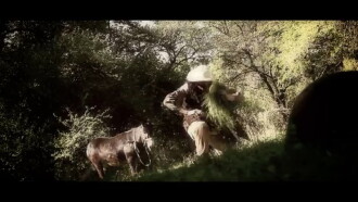 Alive Trailer