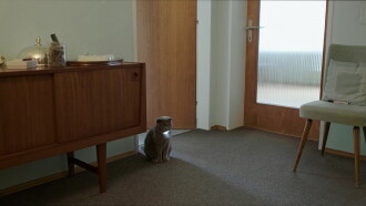 All Cats Are Grey in the Dark Trailer