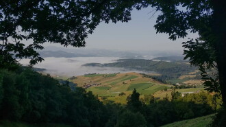 Almar - Der Ruf des Jakobsweges Trailer