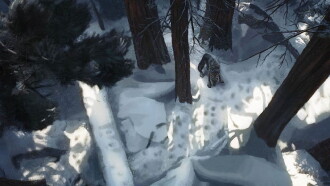 Alone: a Wolf's Winter Trailer