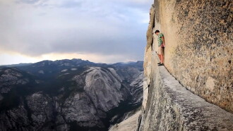 Alone On The Wall Trailer