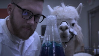 Alpacalypse Trailer