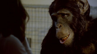 Amazing Ape Trailer