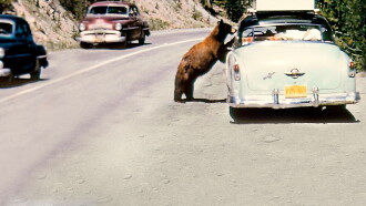America's National Parks at 100 Trailer