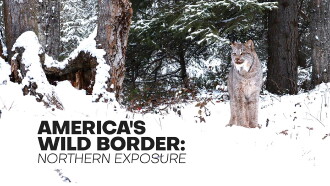 America's Wild Border: Northern Exposure Trailer