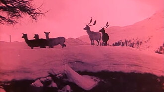 Amid the Lovely Swiss Alps Trailer