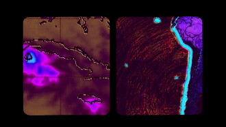 Amoramar Trailer