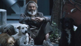 Amores Perros Trailer